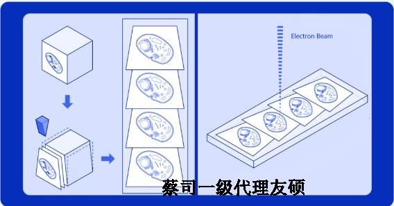 船营蔡司船营扫描电镜