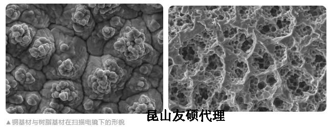 船营蔡司船营扫描电镜