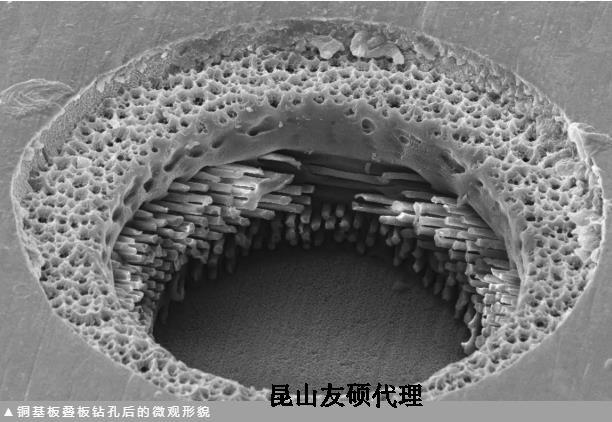 船营蔡司船营扫描电镜